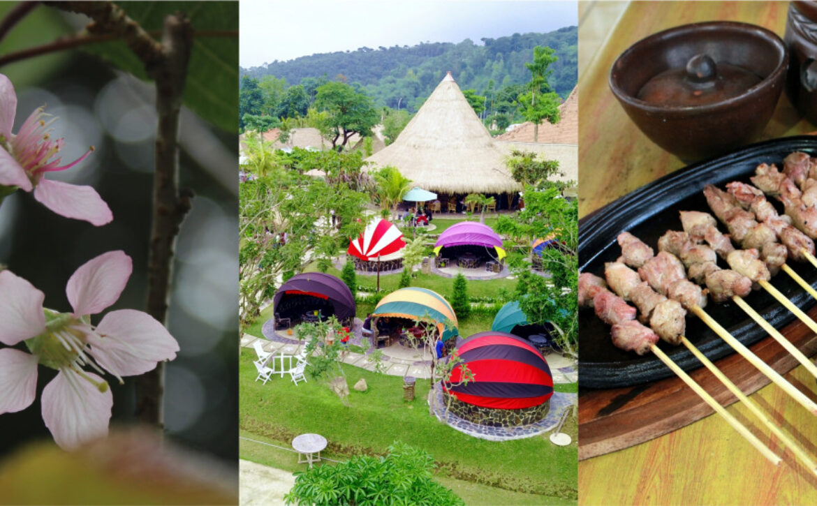 karanganyarkab_potensi pariwisata