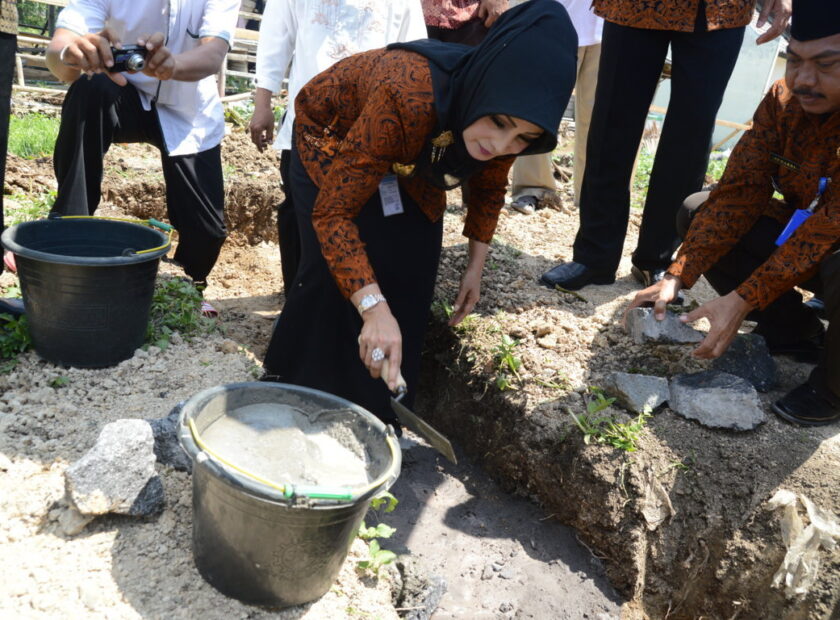 DSC_0066 (FILEminimizer)