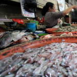 Cuaca Buruk, Ikan Laut Langka di Pasaran