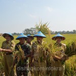Dengan Mekanisasi Pertanian, Tenaga Kerja Lebih Efisien