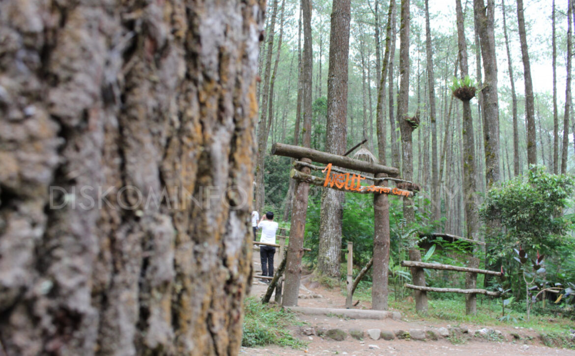 sekipancampingground1