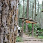 Sekipan Camping Ground