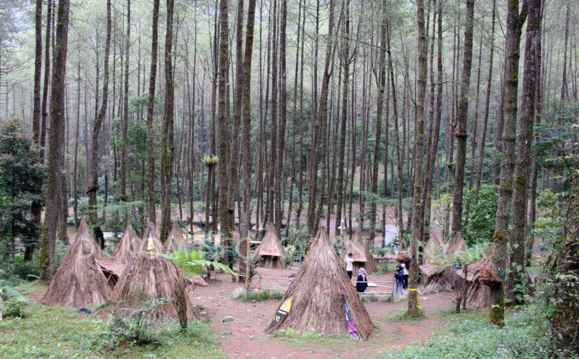 sekipancampingground2