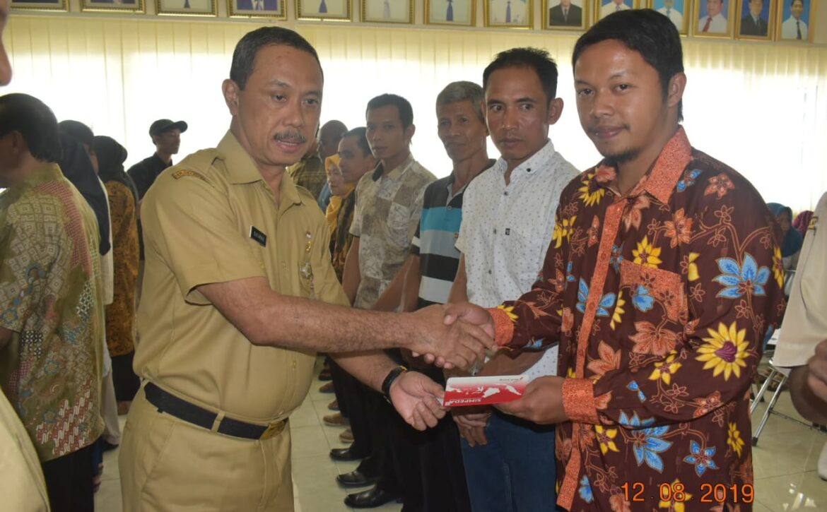 WhatsApp Image 2019-08-13 at 09.03.28 (1)