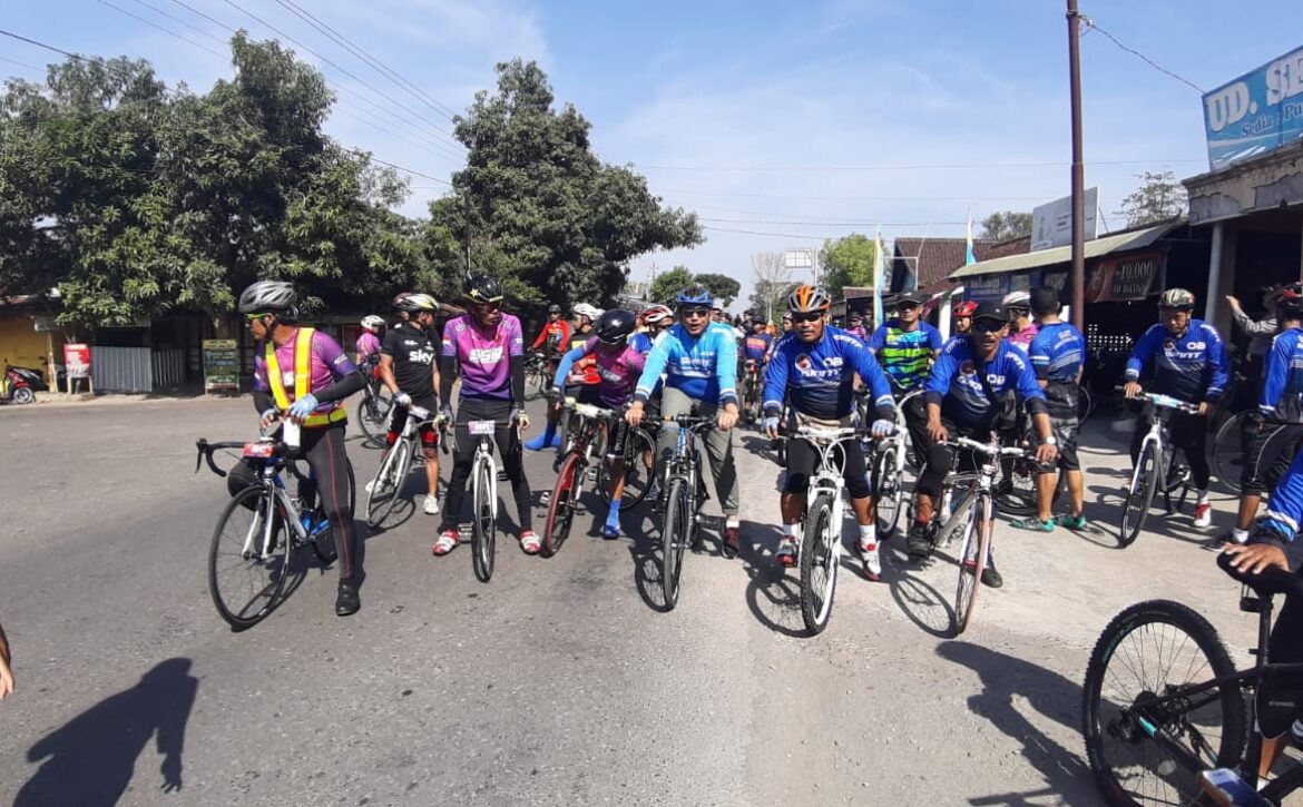 WhatsApp Image 2019-11-17 at 10.49.31