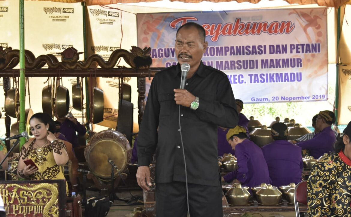 WhatsApp Image 2019-11-20 at 11.43.50