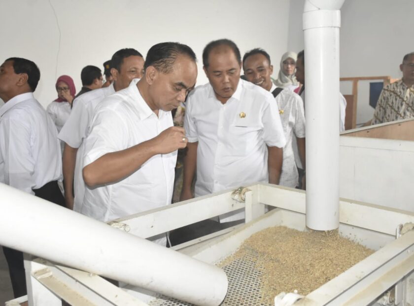 WhatsApp Image 2019-12-11 at 15.42.58