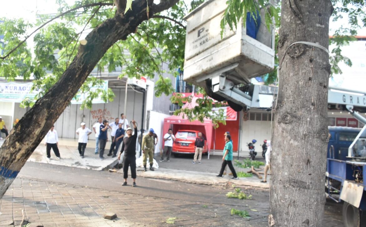 WhatsApp Image 2019-12-16 at 09.14.48