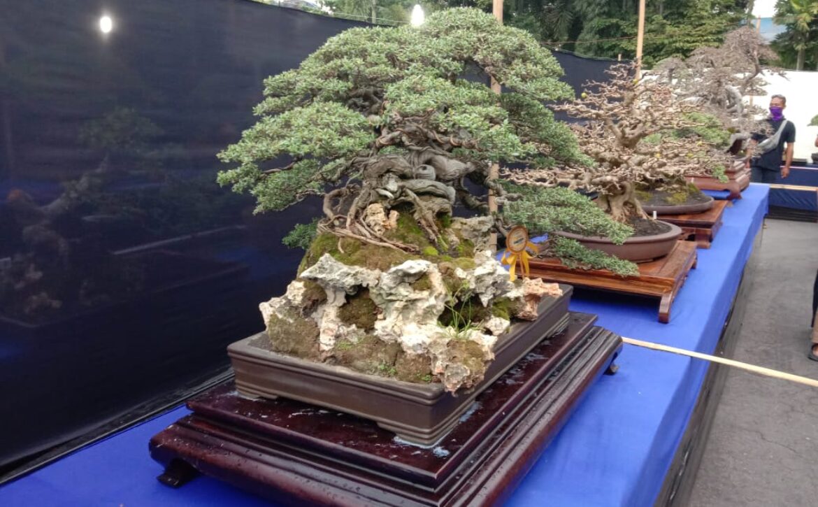 WhatsApp Image 2020-11-13 at 18.16.51