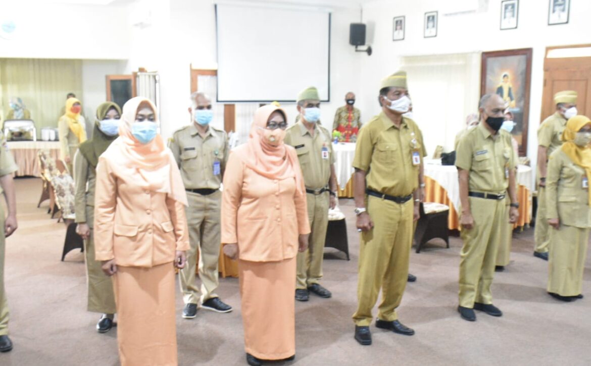 WhatsApp Image 2020-12-21 at 09.28.43 (1)