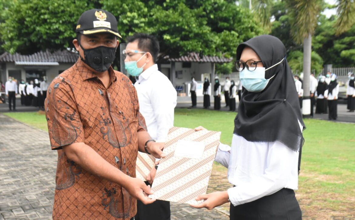 WhatsApp Image 2021-01-12 at 08.00.28