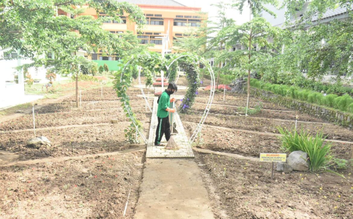 WhatsApp Image 2021-02-09 at 09.46.10 (1)