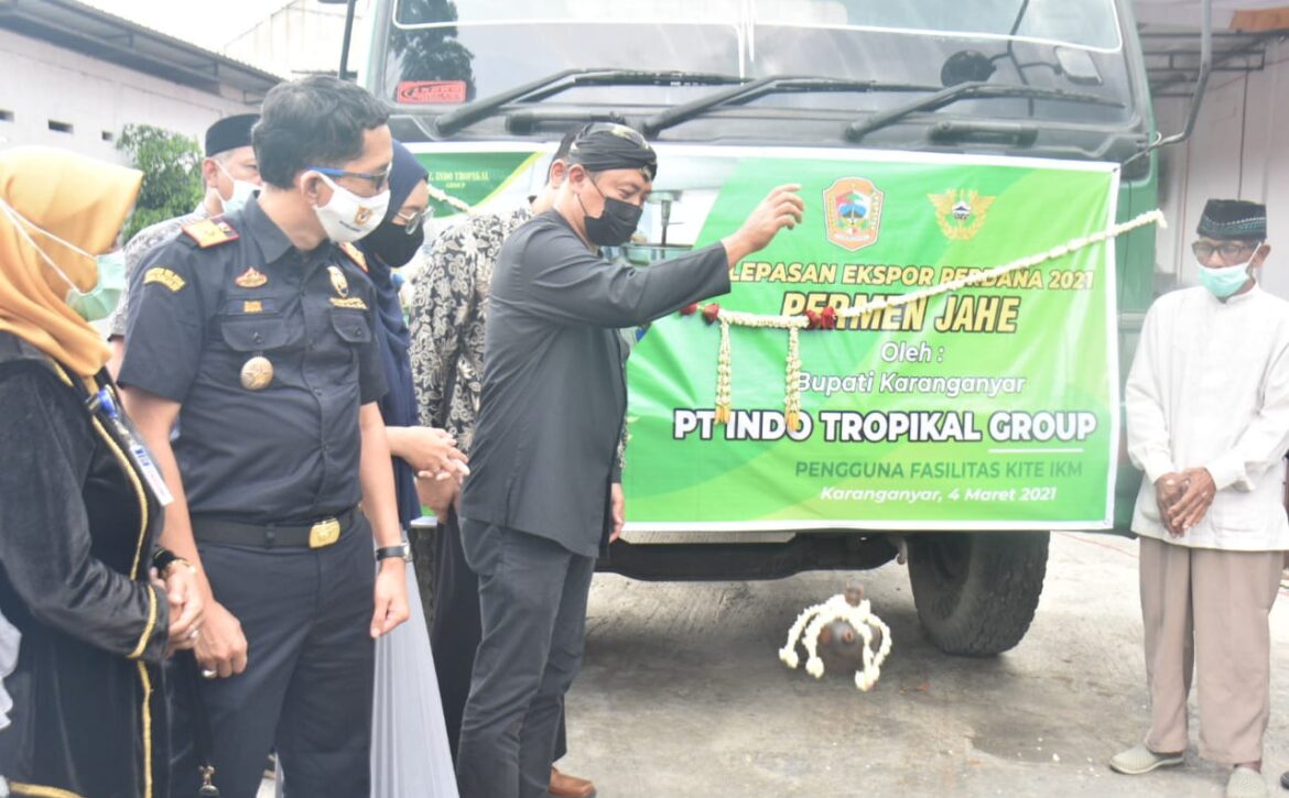 WhatsApp Image 2021-03-04 at 14.47.34