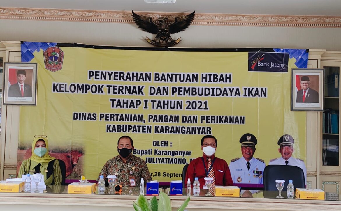 WhatsApp Image 2021-09-28 at 10.32.24