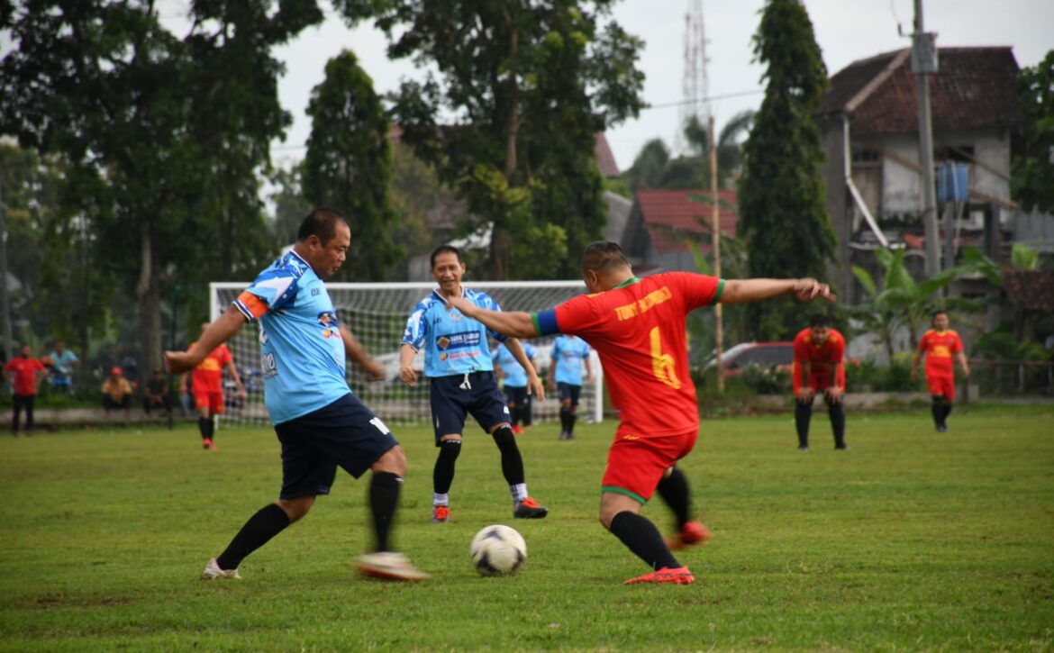 WhatsApp Image 2021-11-13 at 18.00.51