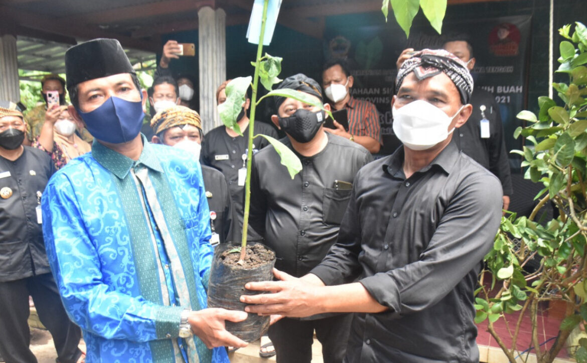 WhatsApp Image 2021-11-25 at 13.30.53 (5)