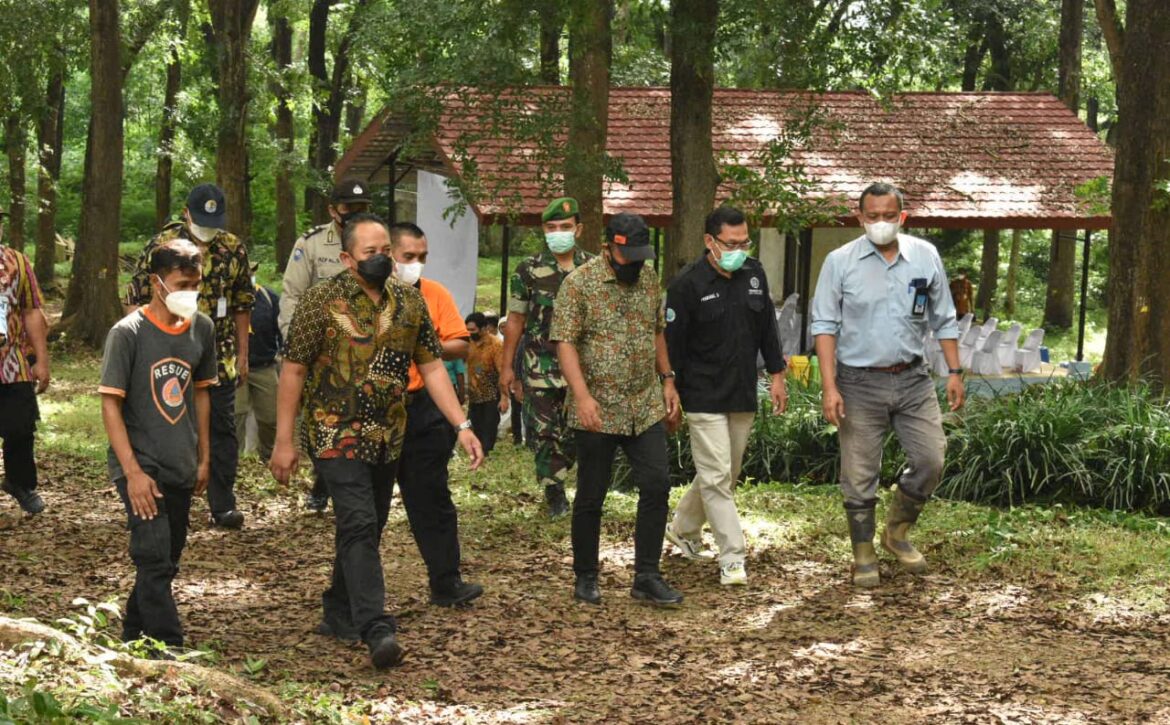 WhatsApp Image 2021-12-14 at 15.35.17