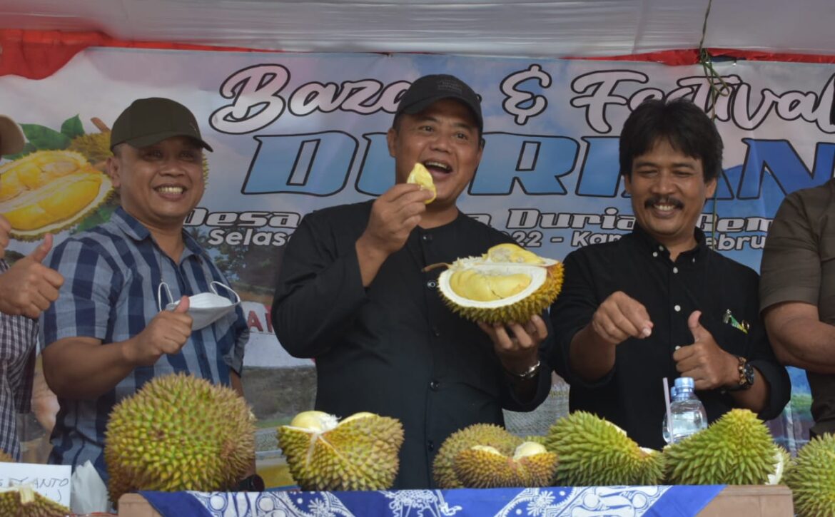 WhatsApp Image 2022-02-02 at 10.03.52