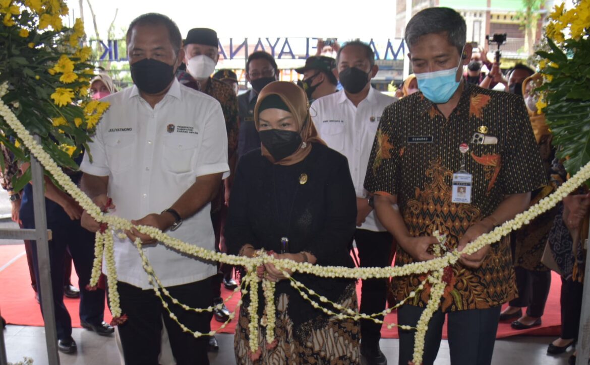 WhatsApp Image 2022-03-16 at 12.07.17