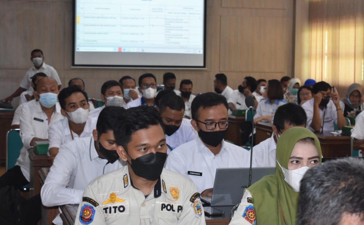 WhatsApp Image 2022-03-30 at 12.08.51 PM