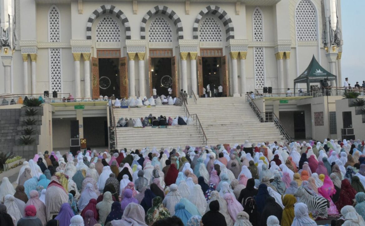 WhatsApp Image 2022-05-02 at 07.56.47