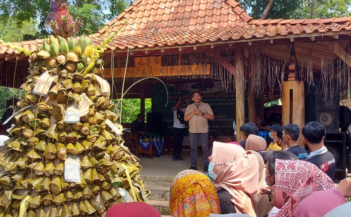 WhatsApp Image 2022-05-08 at 16.03.33