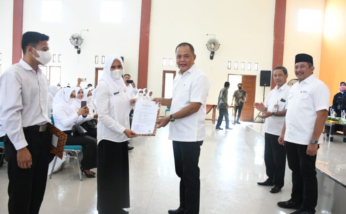 WhatsApp Image 2022-05-18 at 09.55.44