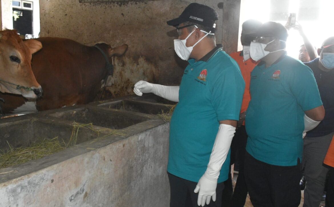 WhatsApp Image 2022-07-01 at 13.16.23 (1)