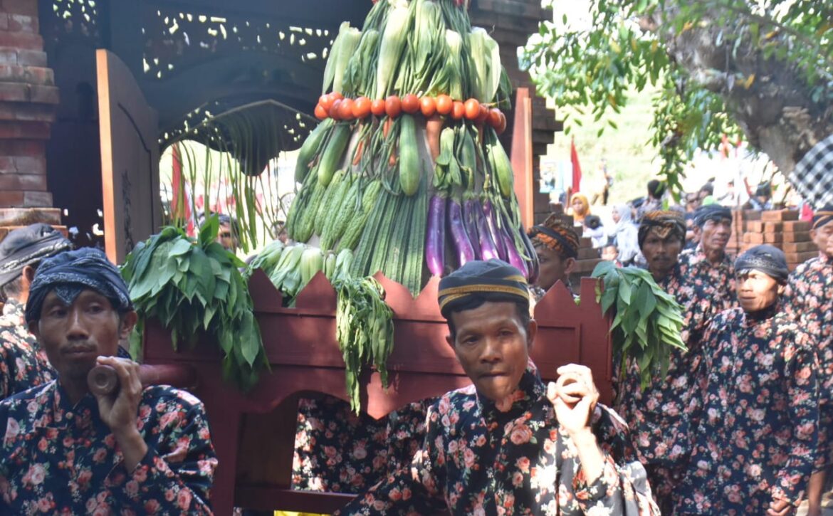 WhatsApp Image 2022-08-05 at 15.33.09