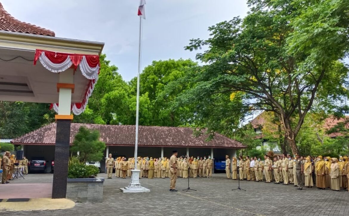 WhatsApp Image 2022-10-03 at 07.50.40