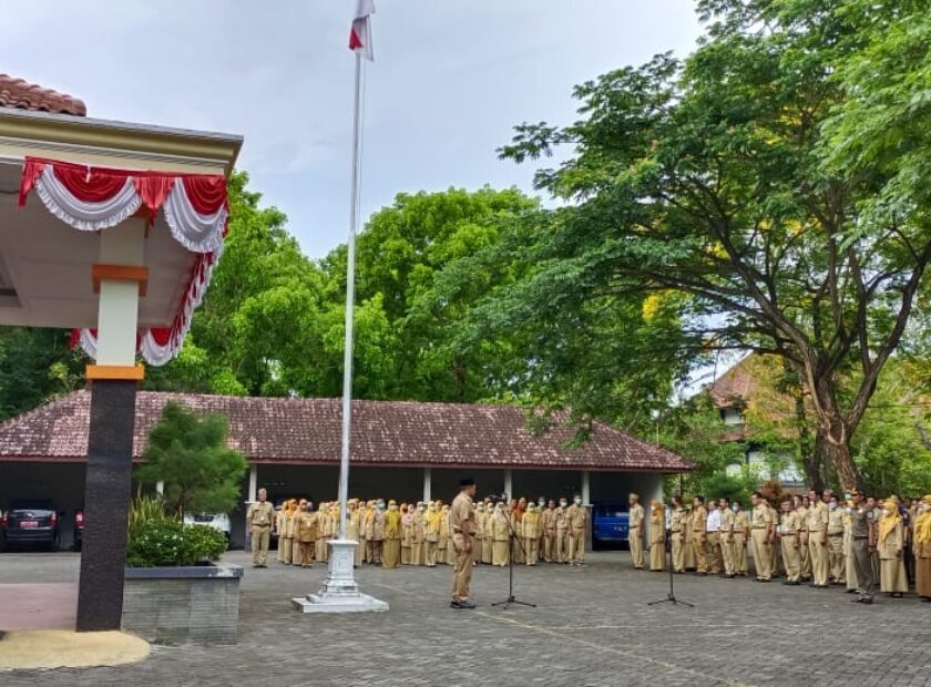 WhatsApp Image 2022-10-03 at 07.50.40