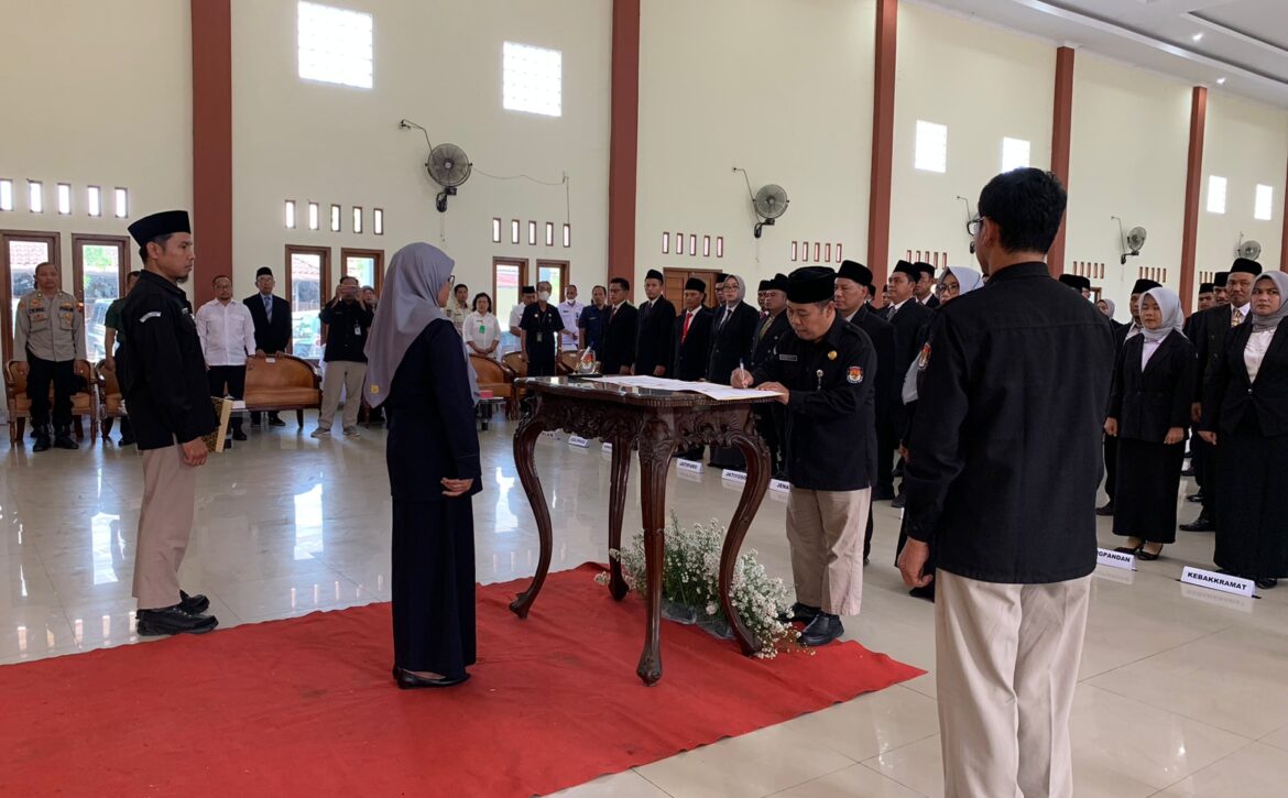 WhatsApp Image 2023-01-04 at 10.57.22 AM