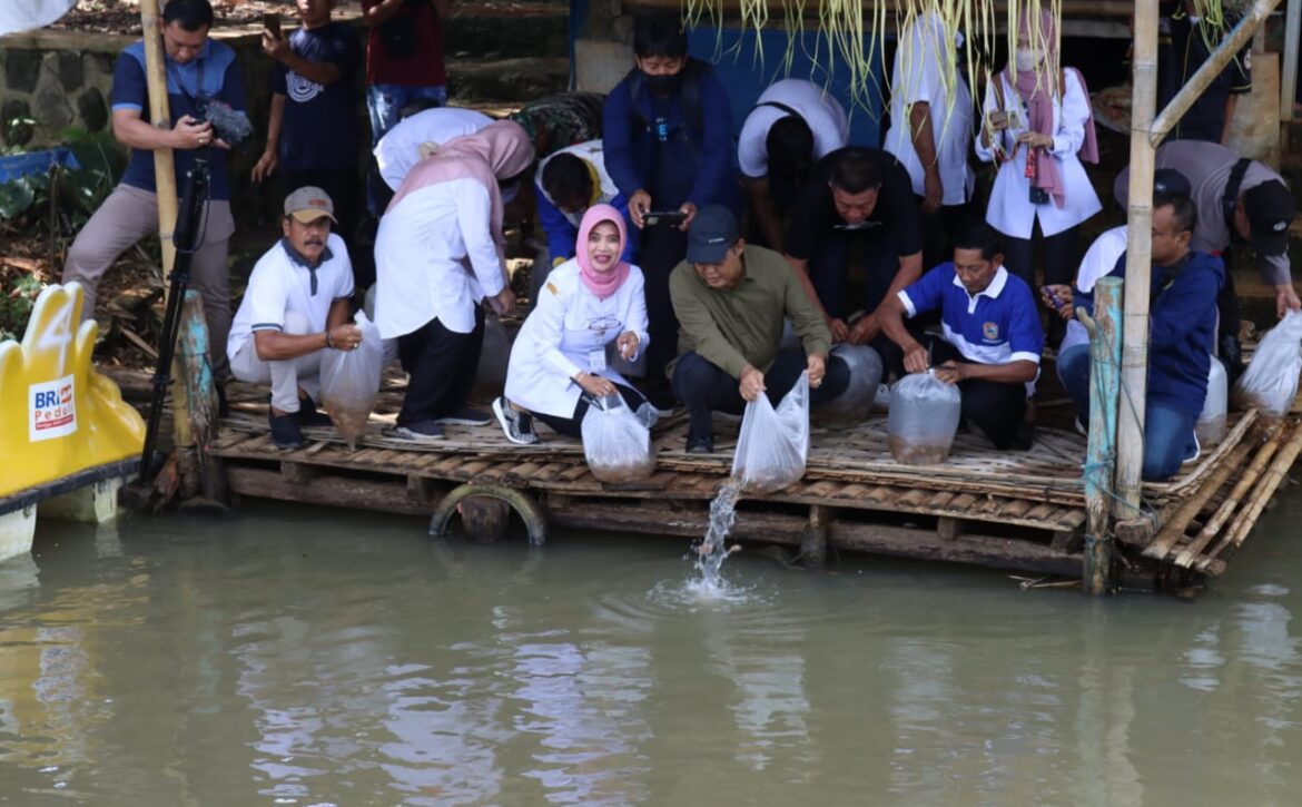 WhatsApp Image 2023-01-24 at 22.56.30-1