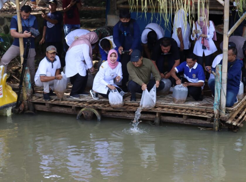 WhatsApp Image 2023-01-24 at 22.56.30-1