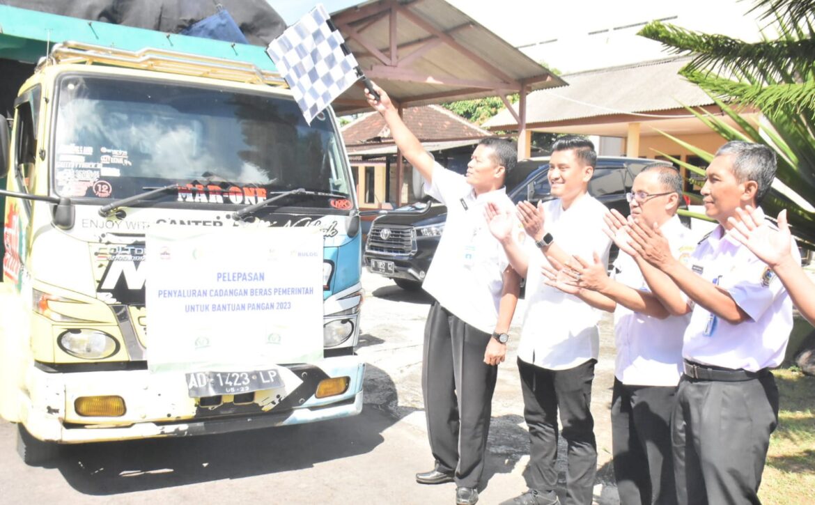 WhatsApp Image 2023-04-12 at 14.25.37