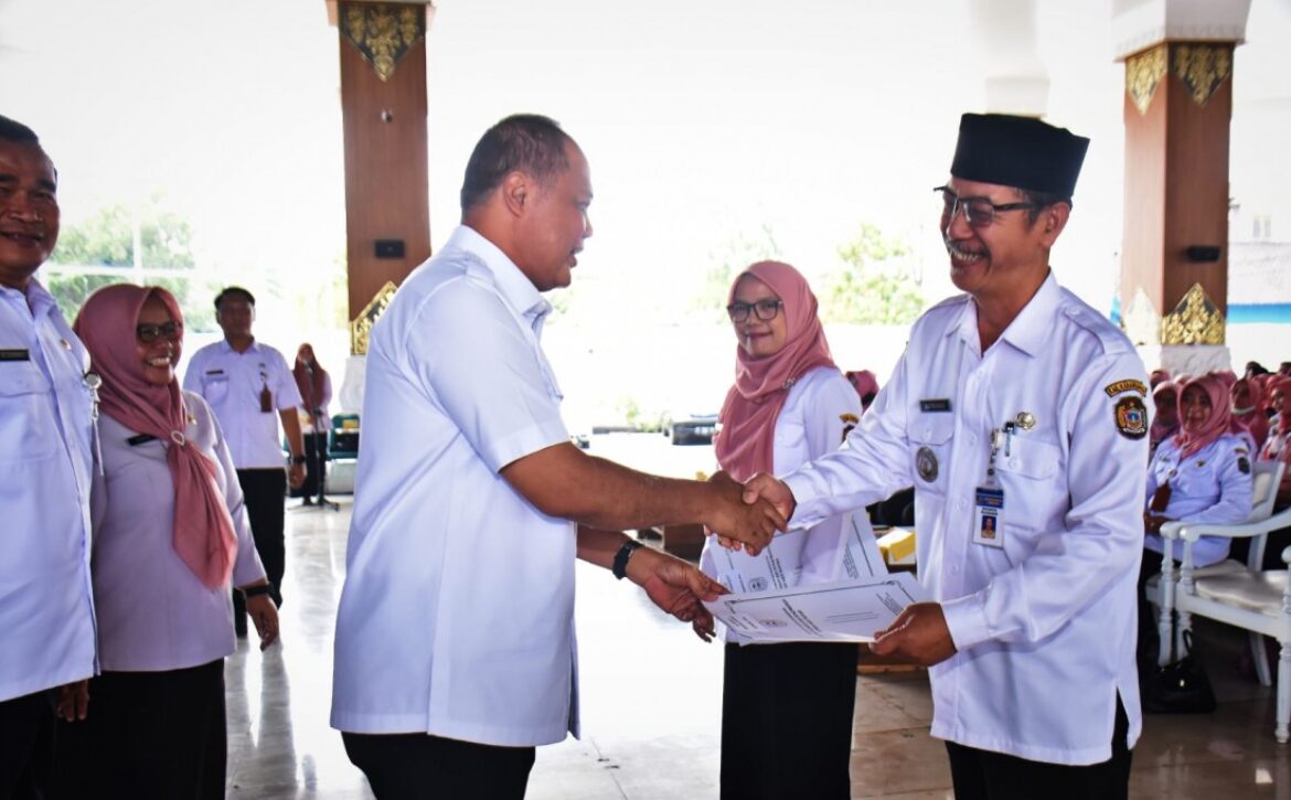 WhatsApp Image 2023-10-04 at 11.54.06