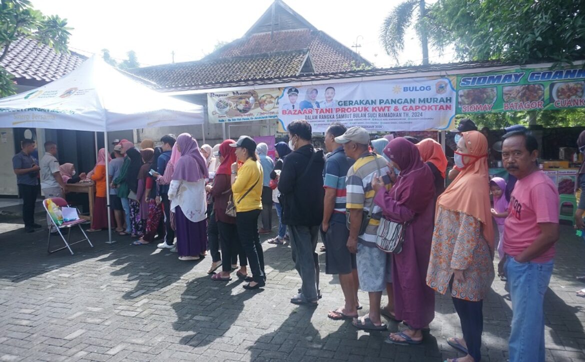 WhatsApp Image 2024-02-28 at 14.36.39