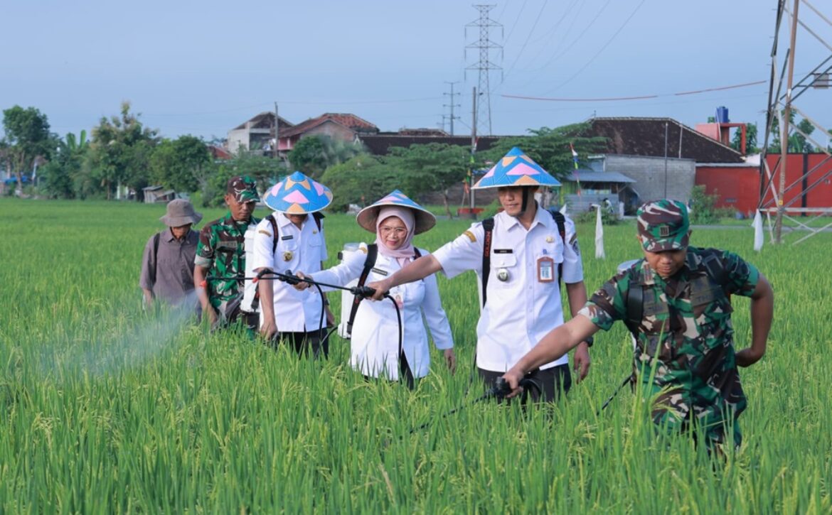 70f6226d-8a90-4bc0-b338-4f327c9d973f