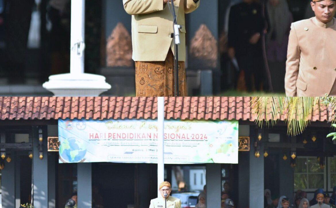 WhatsApp Image 2024-05-02 at 15.37.02