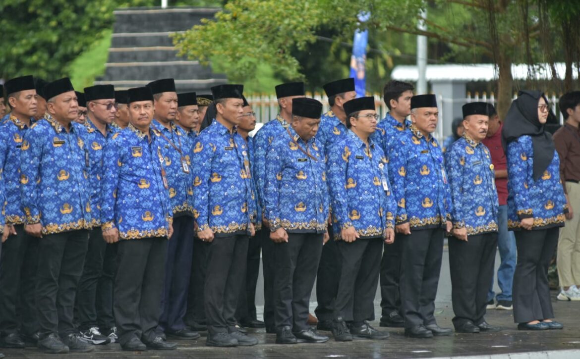 WhatsApp Image 2024-11-29 at 12.26.47