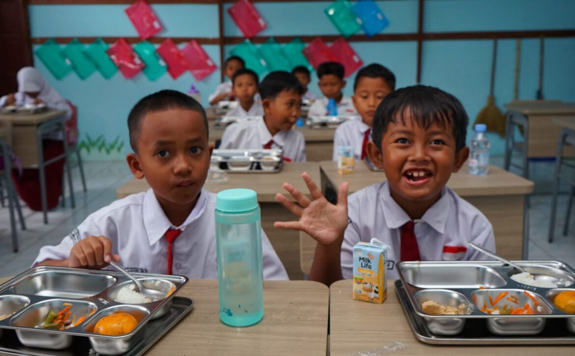 WhatsApp Image 2025-01-13 at 14.34.41