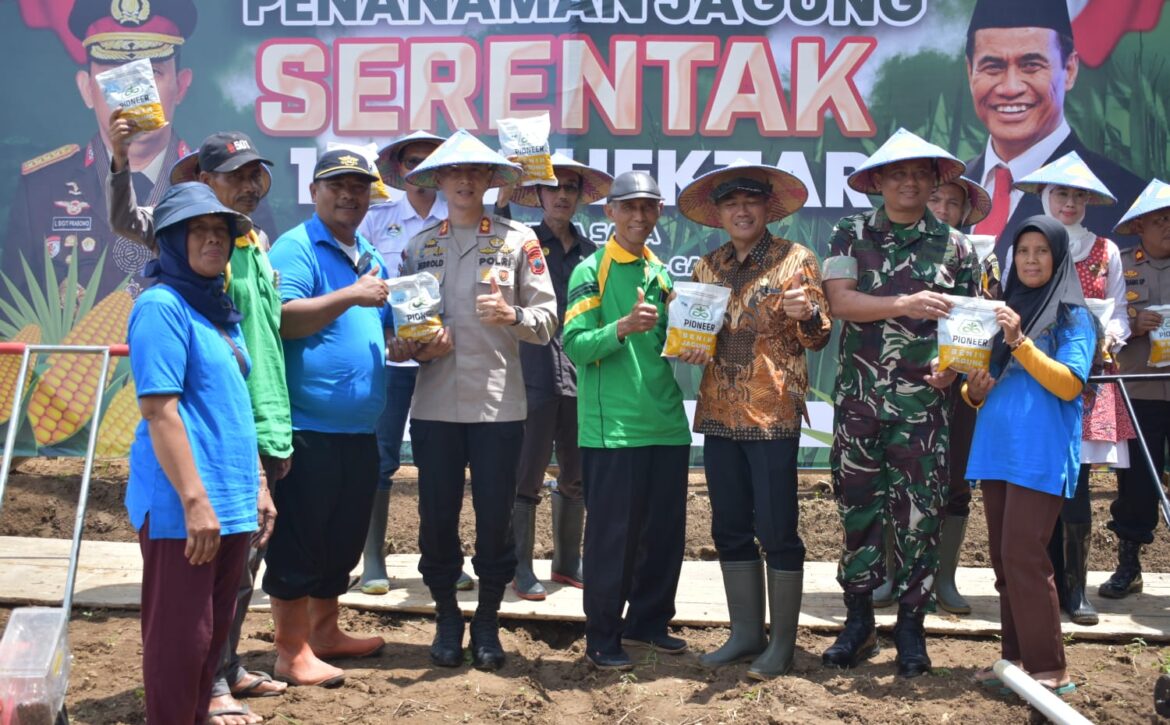 WhatsApp Image 2025-01-21 at 19.39.51