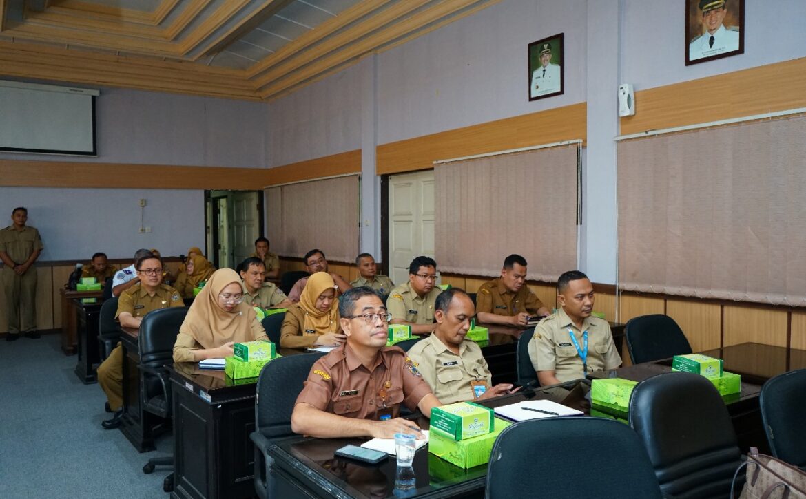 WhatsApp Image 2025-02-03 at 18.33.32