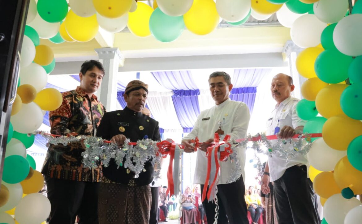 WhatsApp Image 2025-02-28 at 13.11.51