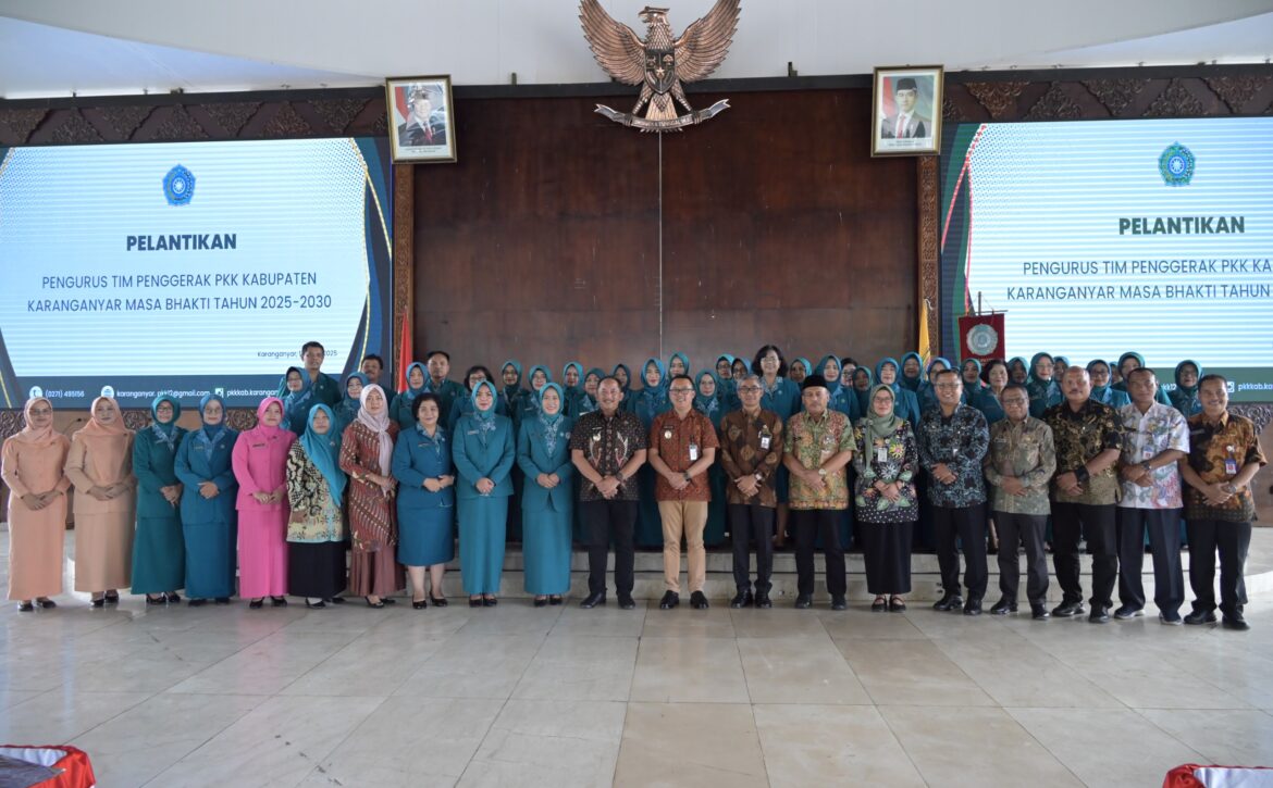 WhatsApp Image 2025-03-12 at 14.29.44