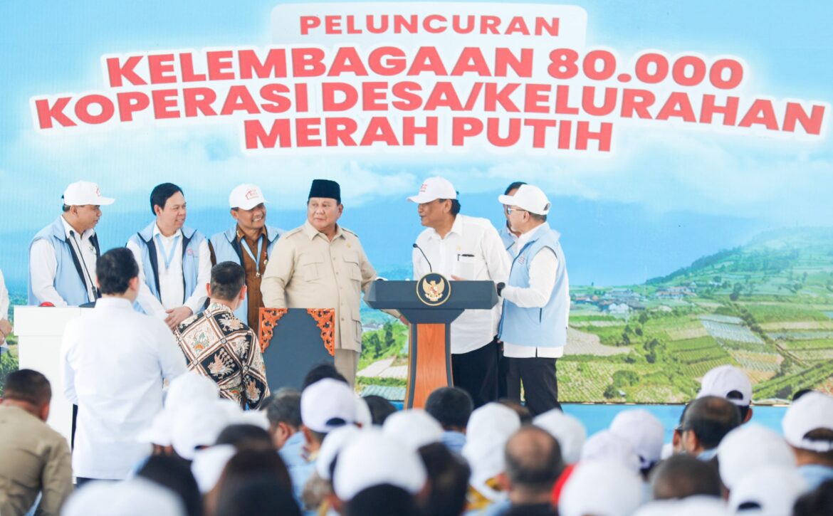 WhatsApp Image 2025-07-22 at 19.00.32