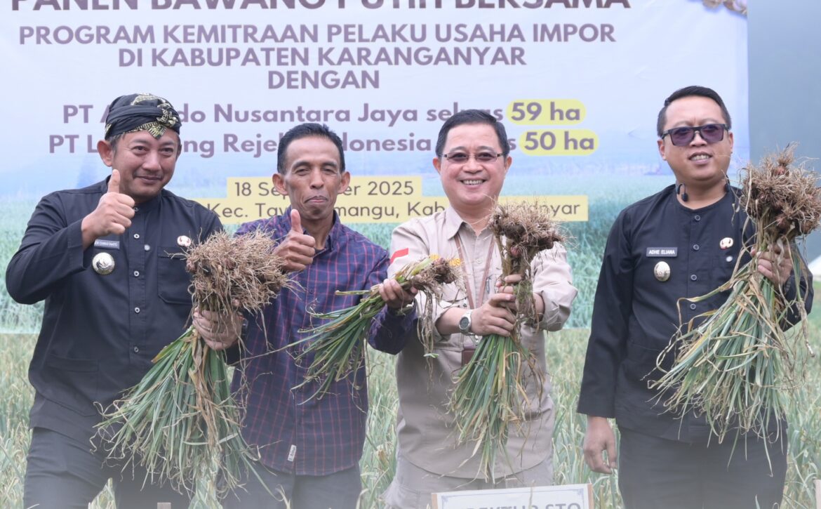 WhatsApp Image 2025-09-18 at 14.40.03