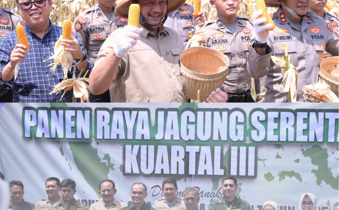 WhatsApp Image 2025-09-29 at 07.43.02