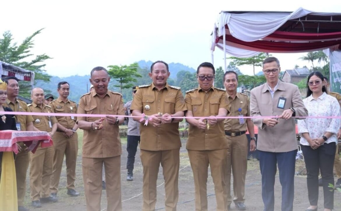 WhatsApp Image 2025-09-29 at 19.35.32