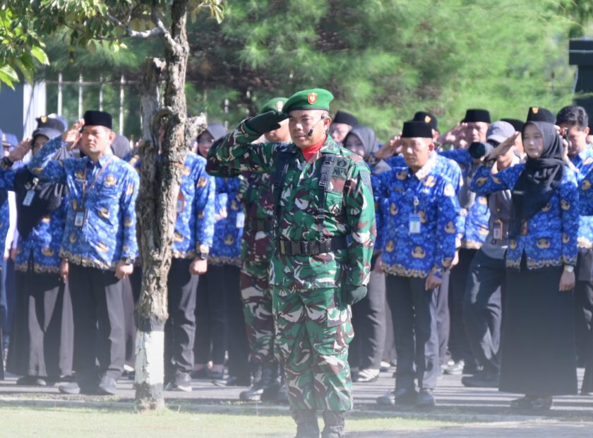 WhatsApp Image 2025-10-01 at 11.22.36